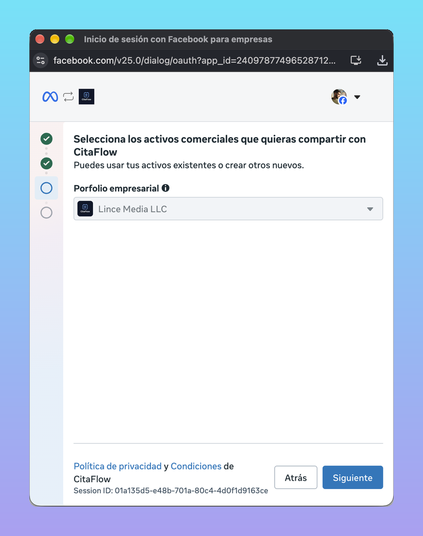 Choosing the business portfolio in Meta's window