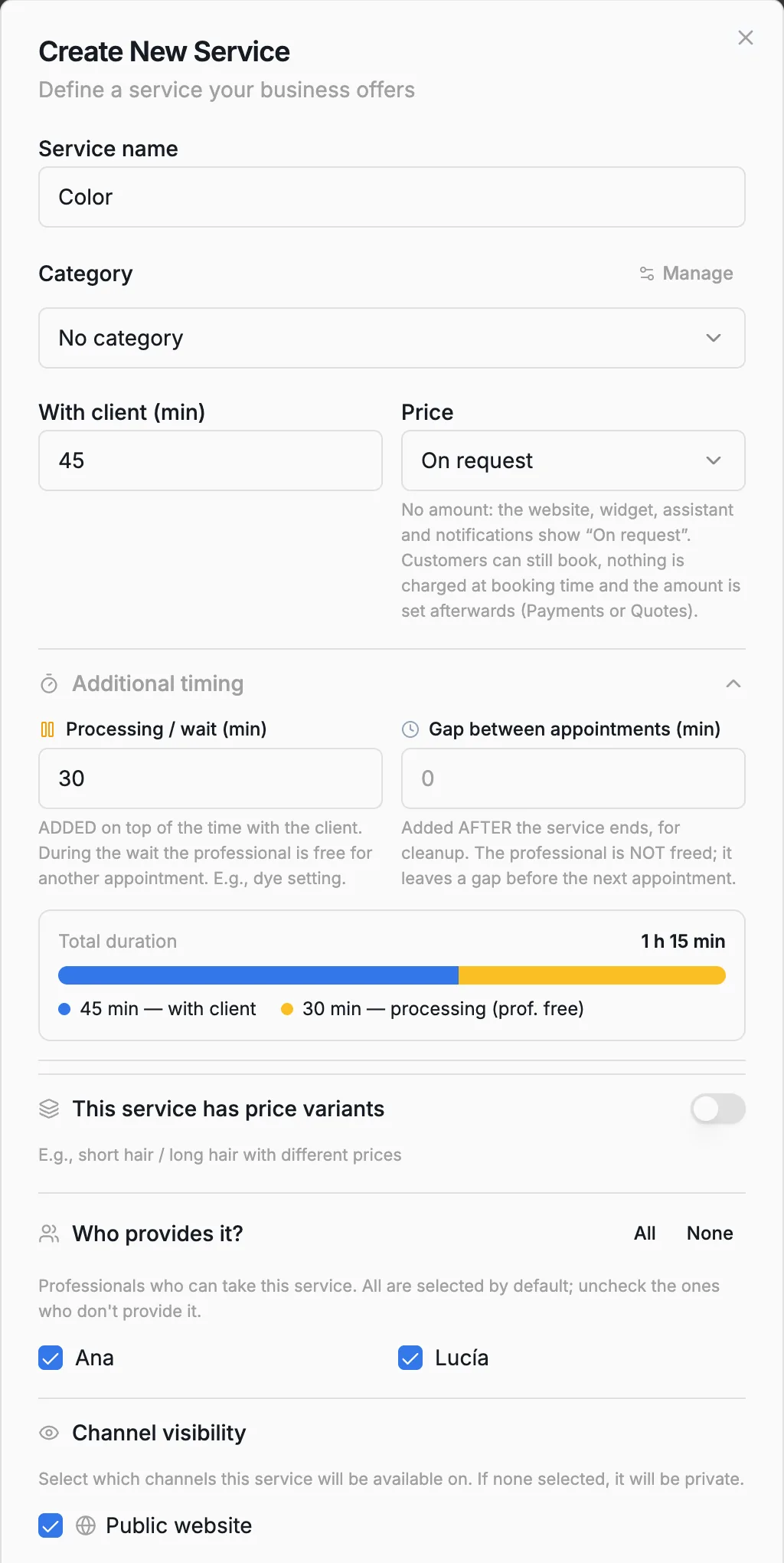 Create New Service dialog with a 45-minute color service, 30 minutes of processing time, both stylists ticked and the Public website box checked